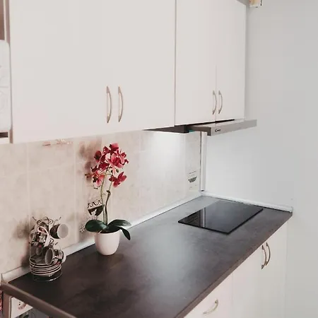 Miriam Costa De La Luz 2 Apartment