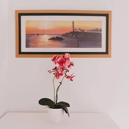 Apartment Miriam Costa De La Luz 2 *